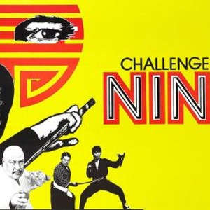 Challenge of the Ninja photo 11