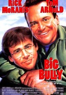Big Bully poster image