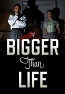 Bigger Than Life poster image
