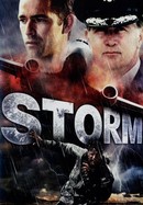 Storm poster image