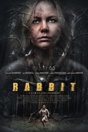 Rabbit poster