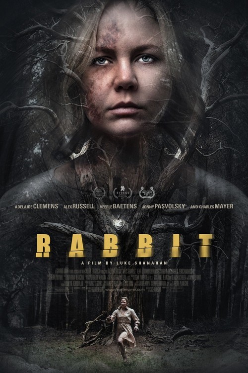 Rabbit poster