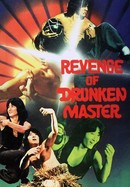 Revenge of the Drunken Master poster image