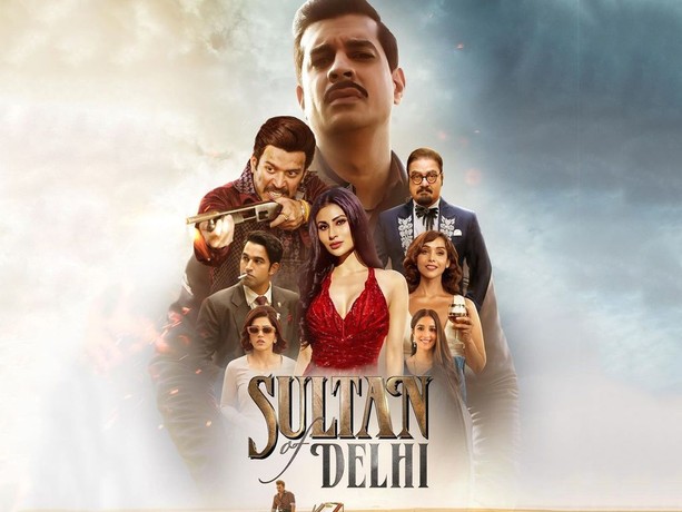 Sultan hindi movie online streaming shop