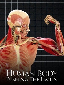 The Human Body: Pushing the Limits | Rotten Tomatoes