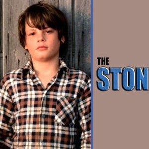 The Stone Boy photo 4