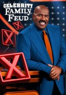 Celebrity Family Feud poster image
