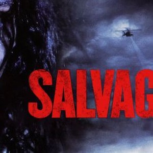 Salvage photo 4