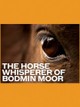 The Horse Whisperer of Bodmin Moor