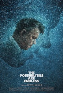 Poster for The Possibilities Are Endless
