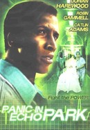 Panic in Echo Park poster image