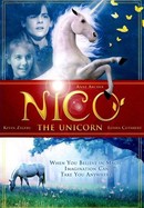 Nico the Unicorn poster image