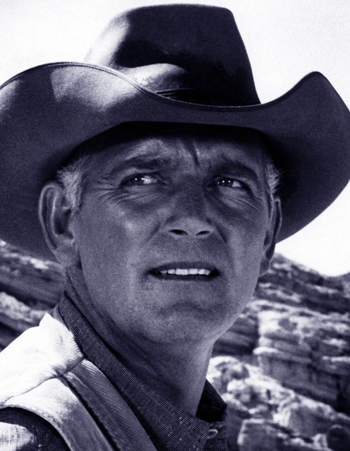 Terry Wilson Rotten Tomatoes