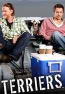 Terriers poster image