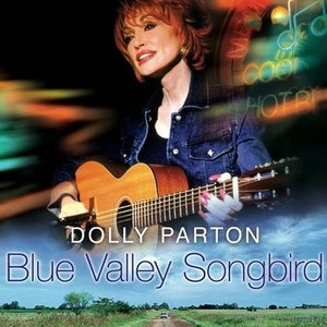 Blue Valley Songbird photo 1