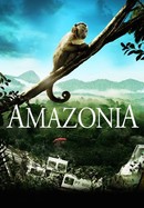 Amazonia poster image