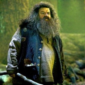HARRY POTTER AND THE ORDER OF THE PHOENIX, Robbie Coltrane, 2007. Ph: Murray Close/©Warner Bros.