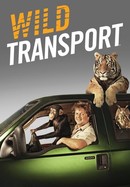 Wild Transport poster image