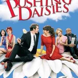 "Pushing Daisies photo 3"