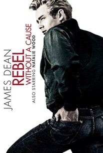 v1.bTsxMTE3Mzk3NTtqOzE3MjI5OzEyMDA7ODAwOzEyMDA