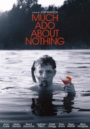 Much Ado About Nothing poster image