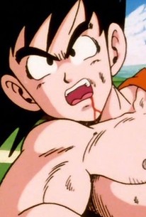 Dragon Ball Z: Season 1, Episode 1 - Rotten Tomatoes