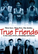 True Friends poster image