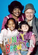 Punky Brewster poster image