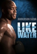 Like Water poster image