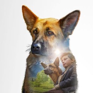 Shepherd: The Story of a Jewish Dog photo 17