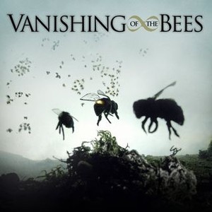 "Vanishing of the Bees photo 9"