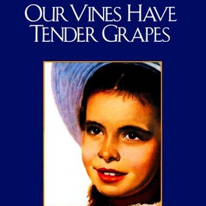 Our Vines Have Tender Grapes photo 8