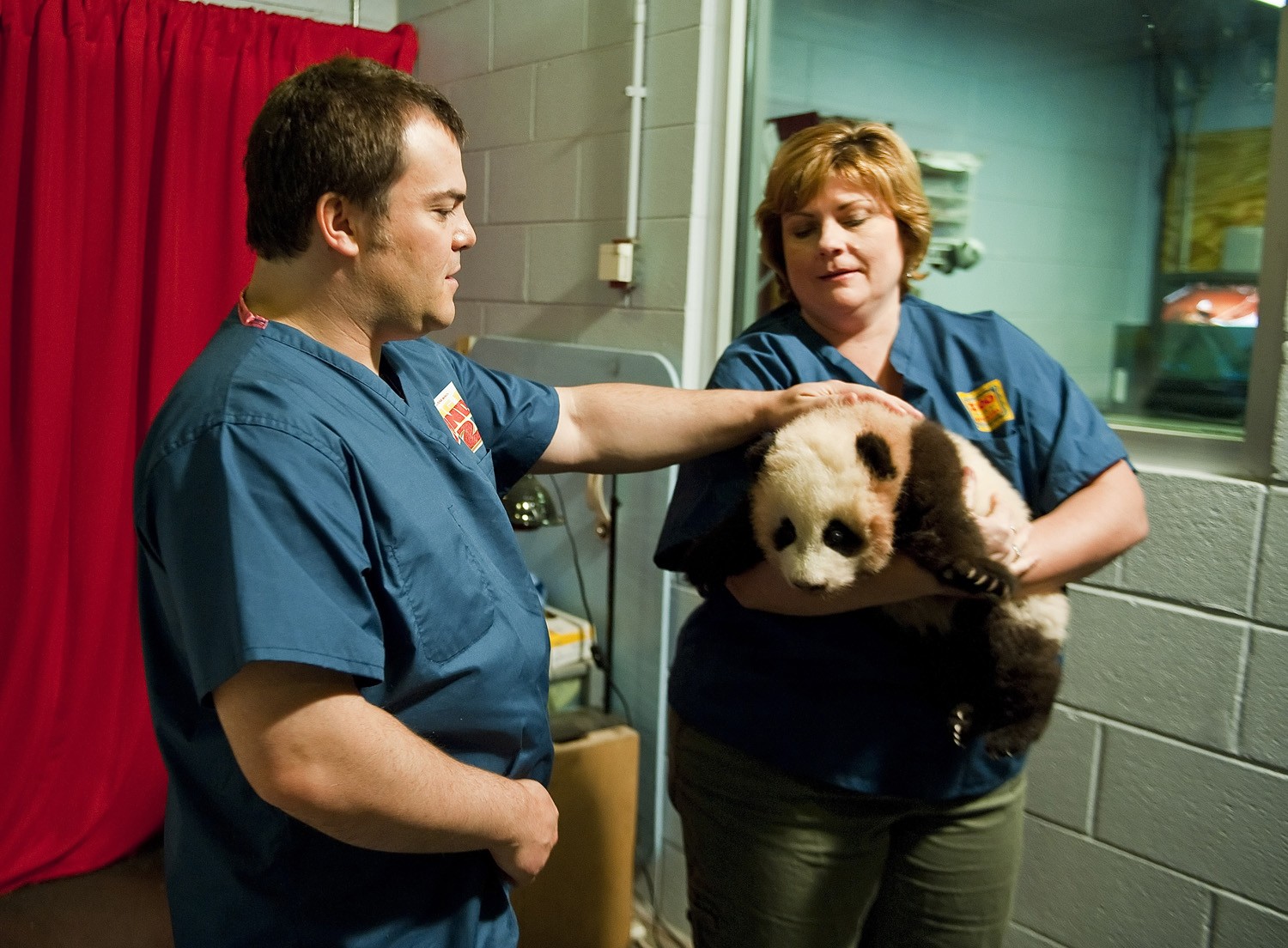 Kung Fu Panda 2 Official Clip Dragon Costume Fight Trailers