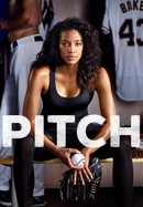 Pitch poster image