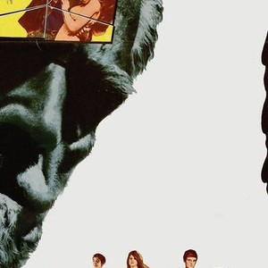 The Sorcerers photo 10