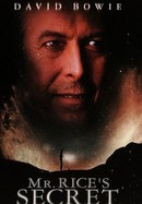 Nicolas Cage It Could Happen to You Posters and Photos 213815