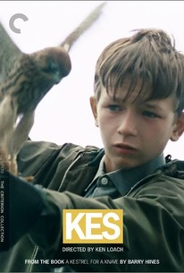 Kes | Rotten Tomatoes