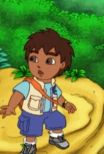 Go, Diego, Go!: Season 1, Episode 8 - Rotten Tomatoes