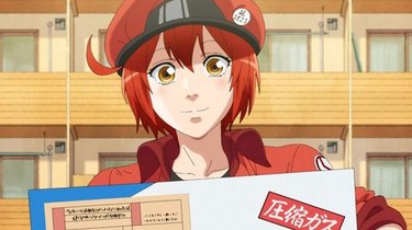 Cells at work anime full episodes clearance