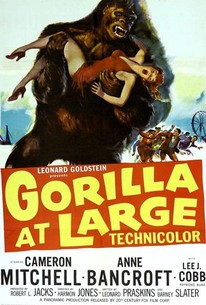 Watch trailer for Gorilla at Large