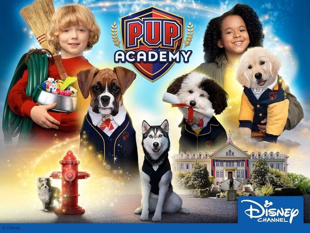 Pup Academy Season 1 Rotten Tomatoes