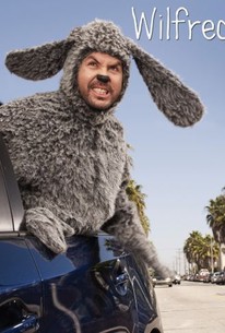 Wilfred Season 2 Rotten Tomatoes