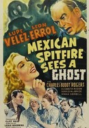 Mexican Spitfire Sees a Ghost poster image
