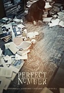 Perfect Number poster image