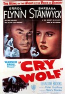 Cry Wolf poster image