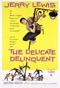 Poster for The Delicate Delinquent