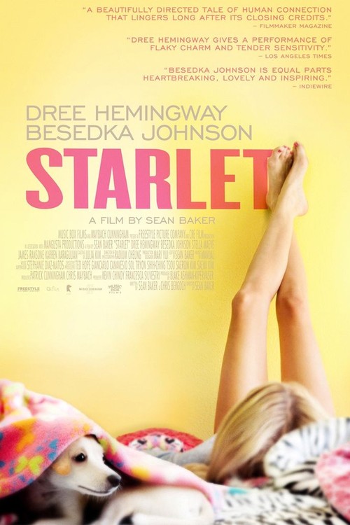 Starlet poster