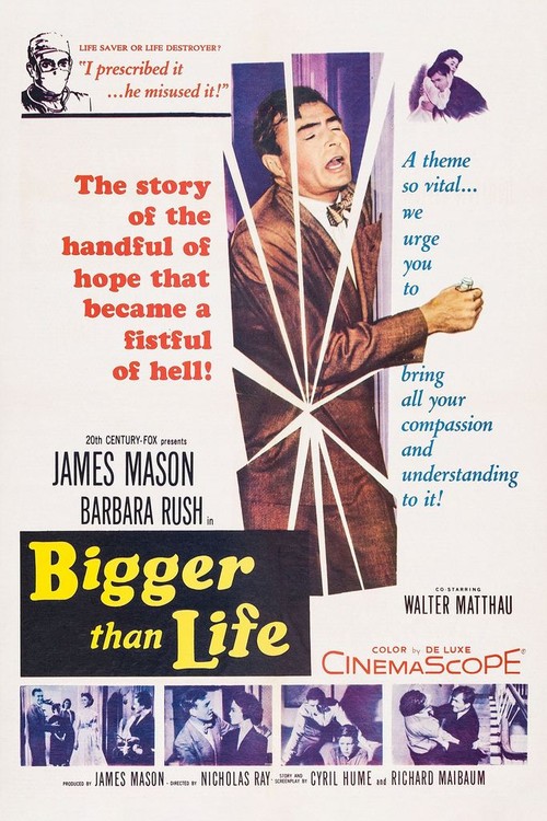 Bigger Than Life poster