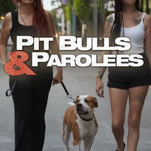 Pit Bulls and Parolees: Season 7, Episode 8 - Rotten Tomatoes