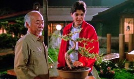The Karate Kid Part III: Official Clip - Strong Roots photo 1